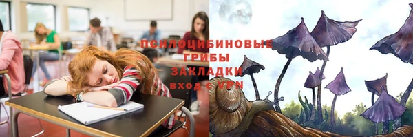 твердый Богданович